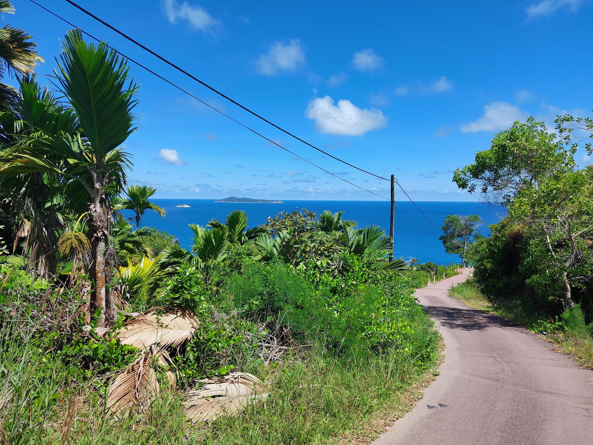 Schmale Straße schlängelt sich durch dichten Tropengrün bergab zum türkisblauen Meer mit fernen Inseln.