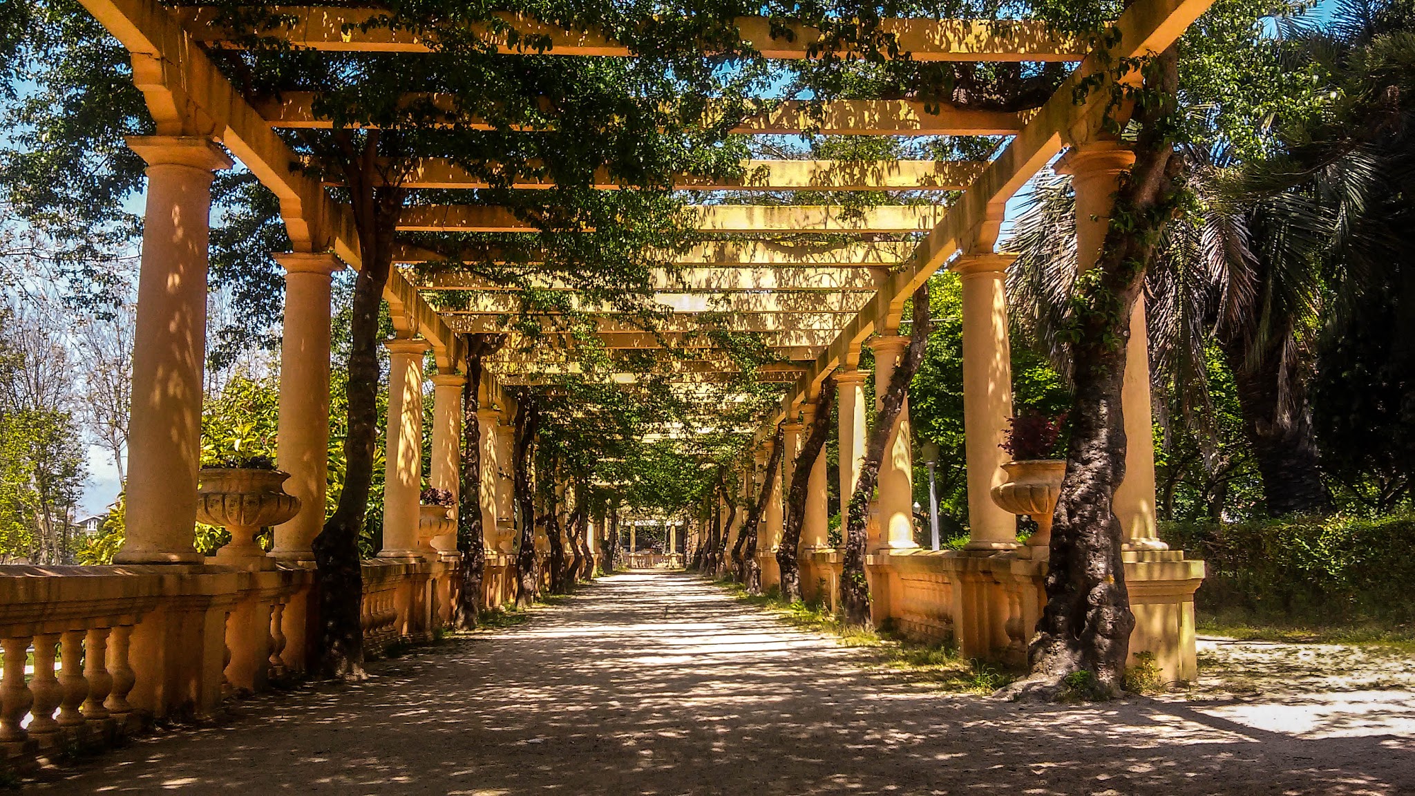 Schattiger Säulengang unter bewachsener Pergola, Blick in die Tiefe des von Sonnenflecken gesprenkelten Weges.