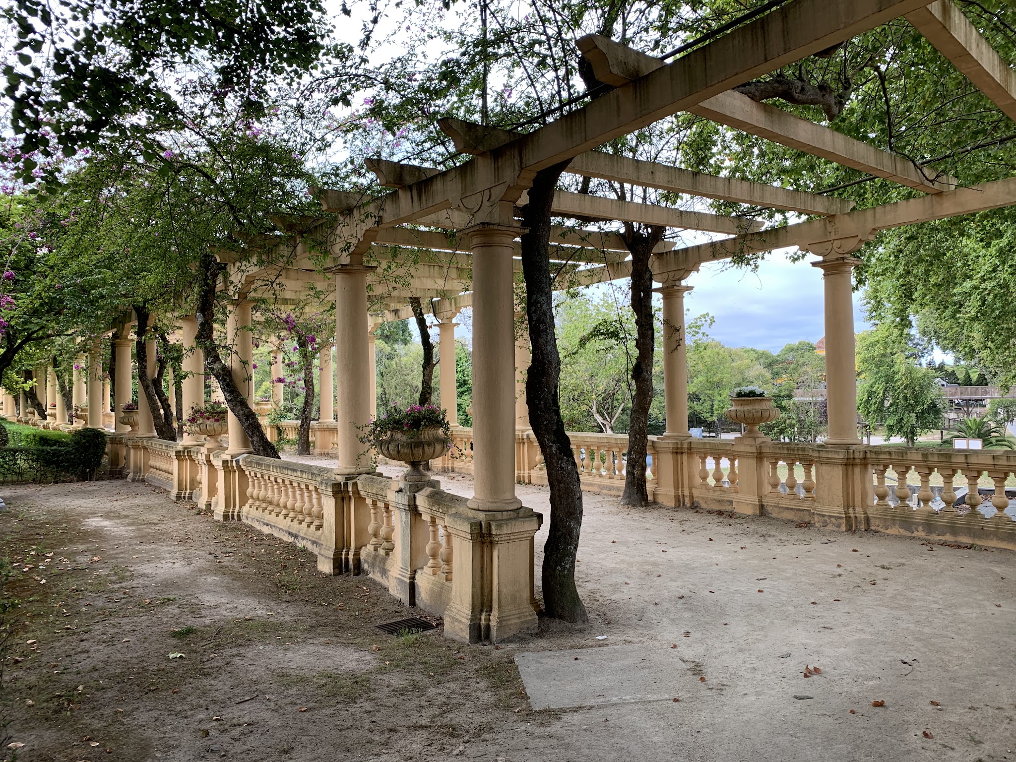 Beige Säulenpergola im Park, von rankenden Bäumen und violetten Blüten umwachsen, säumt einen sandigen Weg.