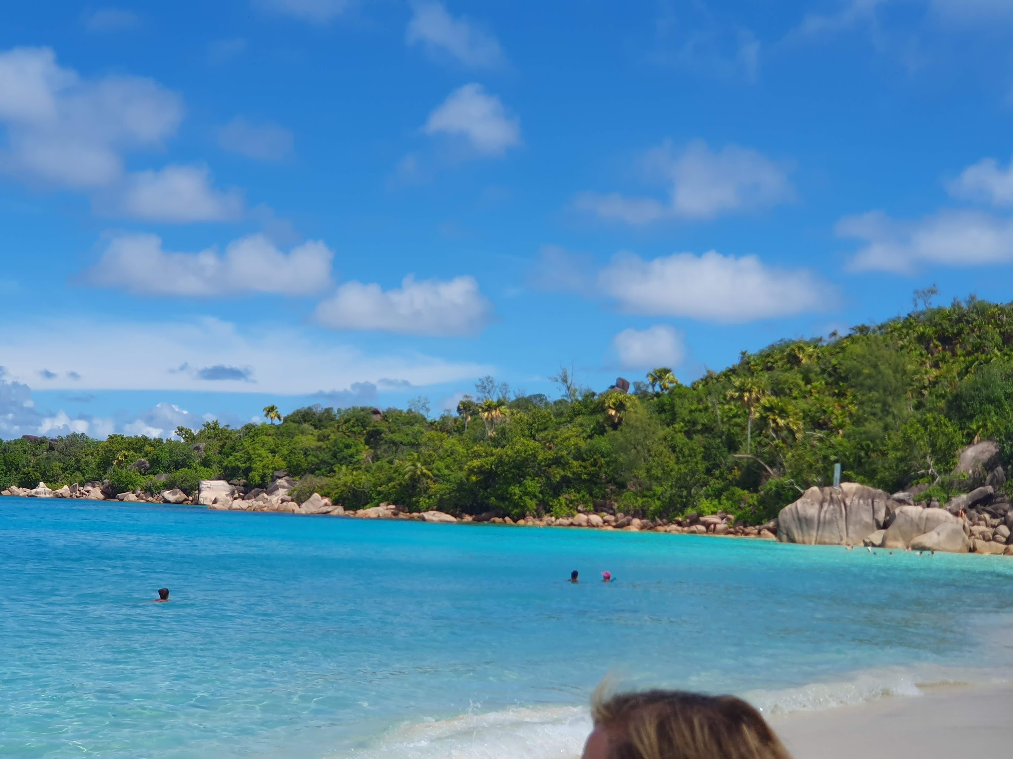 Türkisblaues Meer mit wenigen Schwimmern, heller Sandstrand, palmengesäumte grüne Insel unter wolkenlosem Himmel.