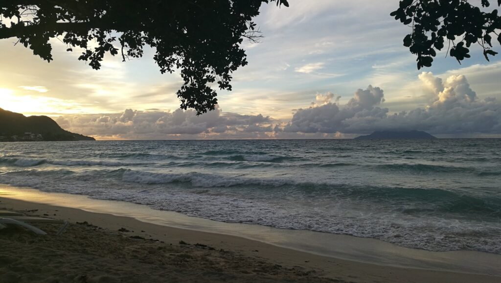 Sanfter Sonnenuntergang am Meer: Wellen rollen an Sandstrand, Äste rahmen Blick, ferne Insel am Horizont.