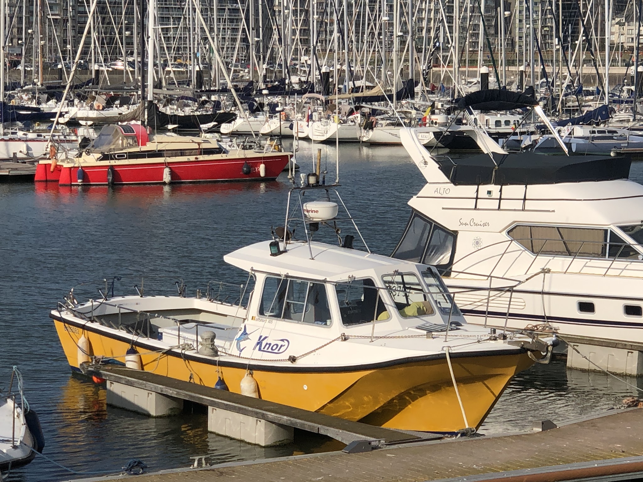 Gelbes Motorboot im Hafen, umgeben von zahlreichen festgemachten Segelbooten und Yachten.