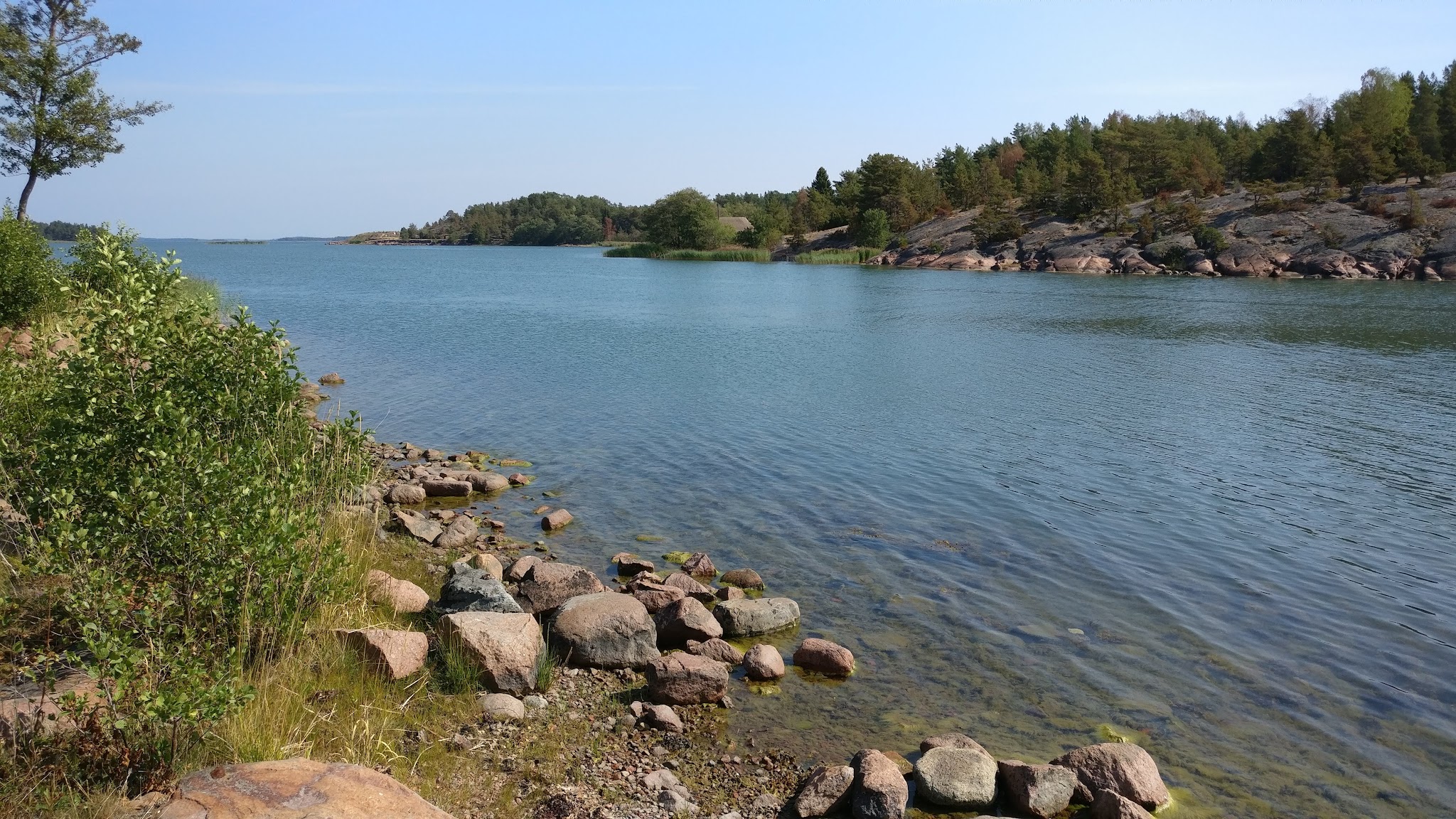 Sonniger Blick über blaues Wasser; felsiges Ufer mit Sträuchern, gegenüber dichter Kiefernwald.