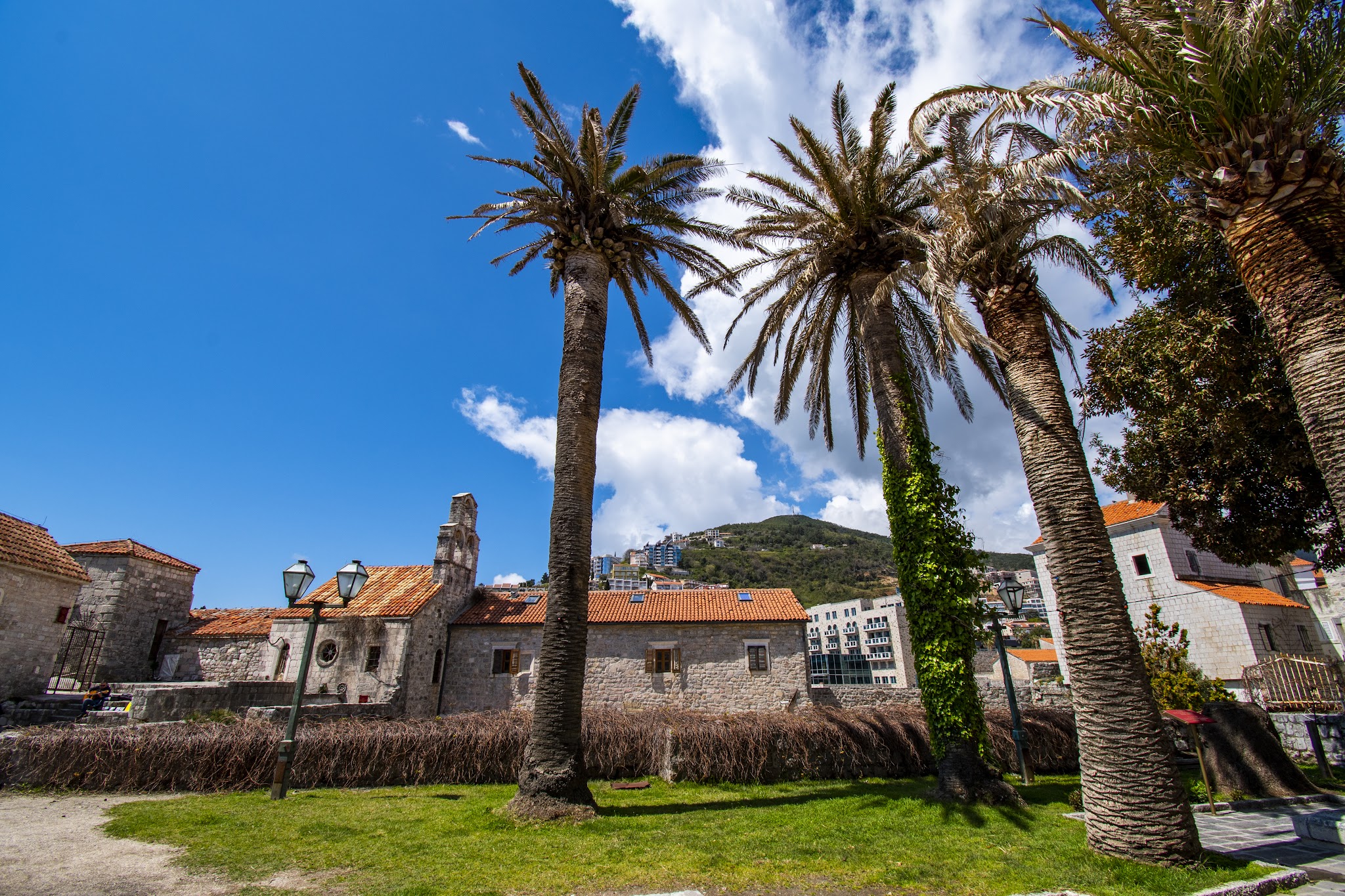 Hohe Palmen vor historischen Steinhäusern mit roten Ziegeldächern, dahinter blauer Himmel mit weißen Wolken.