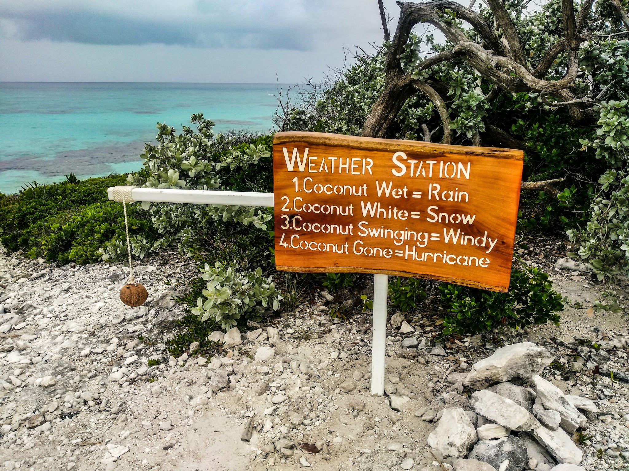 Holzschild am tropischen Ufer: Kokosnuss-Wetterstation—nass=Regen, weiß=Schnee, schwingt=Wind, weg=Hurrikan