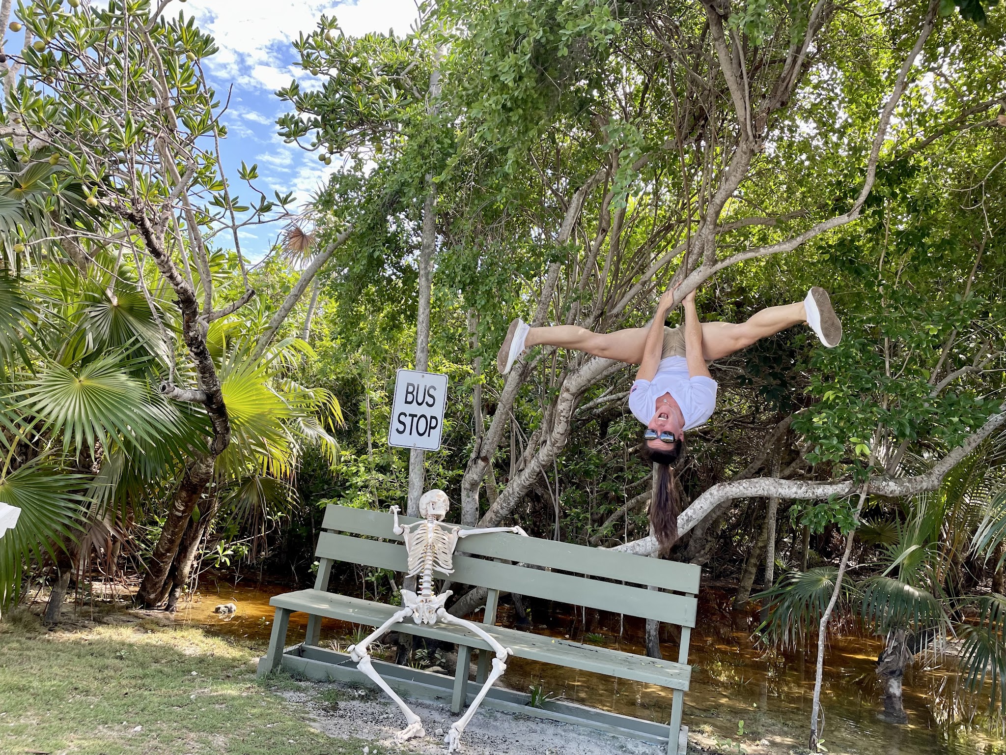 Busbank in Sumpf, Skelett sitzt wartend; Frau hängt kopfüber spreizbeinig am Ast darüber, Busstop-Schild daneben.