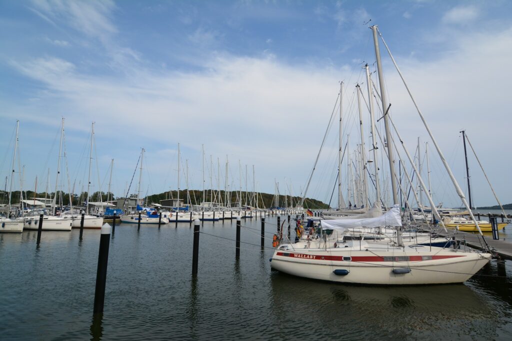 Ruhiger Yachthafen: zahlreiche Segelboote mit hohen Masten, vorn Boot „Wallaby“, blauer Himmel