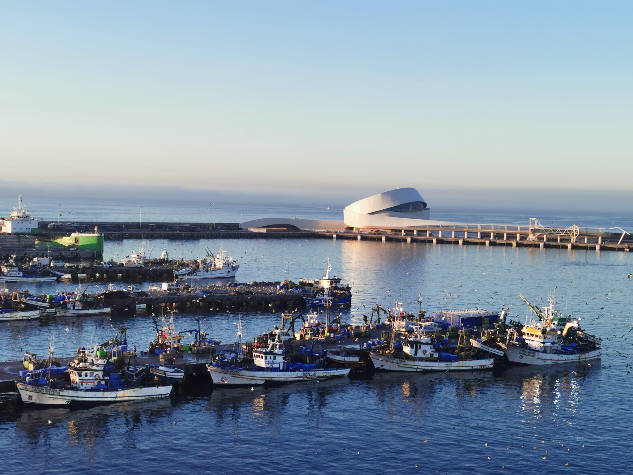 Fischerboote im Hafen vor modernem, oval geschwungenem Gebäude, ruhige See, umkreist von Möwen.