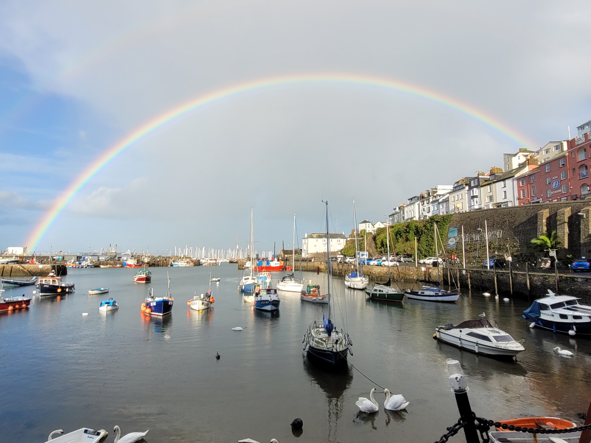 Regenbogen über kleinem Hafen mit Segel- und Fischerbooten; zwei Schwäne treiben nahe dem Ufer.