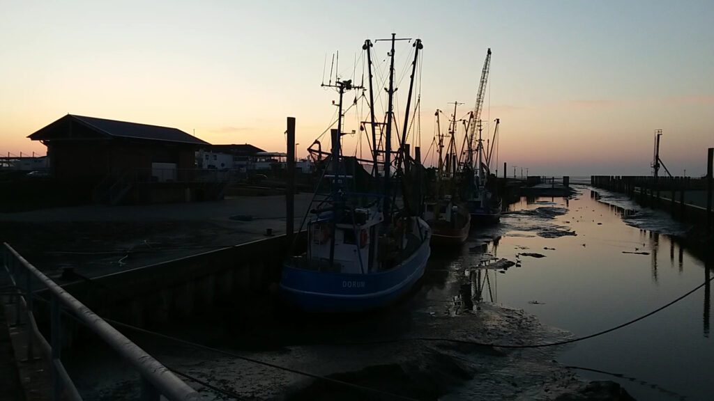 Fischerboote liegen bei Ebbe im Hafen; schlammiges Wasser spiegelt den Sonnenuntergang.