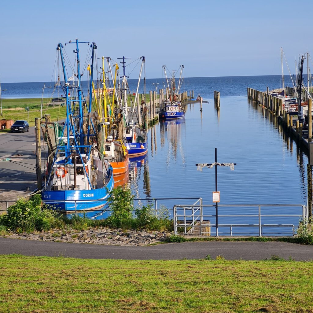 Bunte Krabbenkutter liegen dicht an dicht im schmalen Hafenbecken; dahinter öffnet sich die Nordsee bei klarem Himmel.