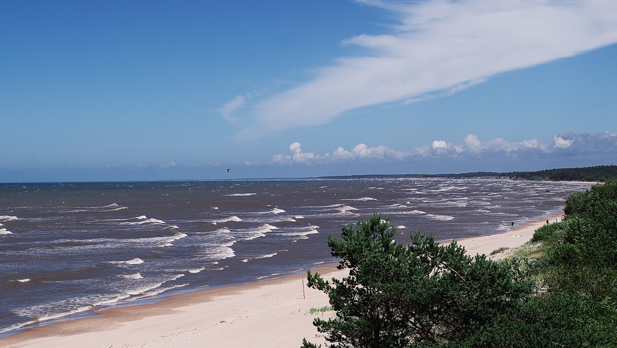 Weite Ostsee-Strandlinie mit weißem Sand, stürmischen Wellen, Pinienbewuchs und einsamem Kitesurfer unter blauem Himmel.
