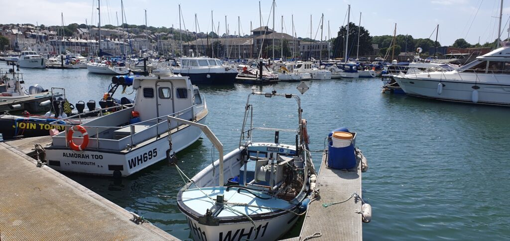 Kleine Fischerboote liegen am Steg; dahinter volle Marina mit Segelbooten bei Sonnenschein.