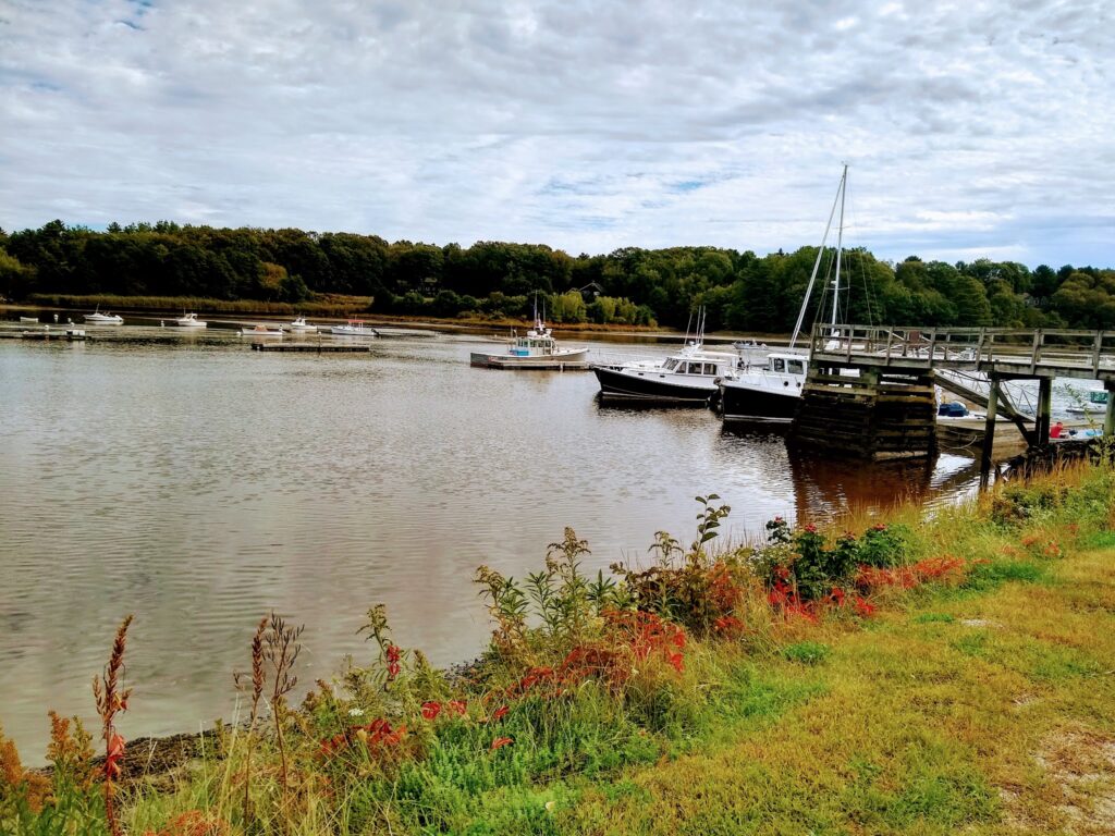 Kleiner Hafen mit festgemachten Motorbooten, Holzsteg, ruhiges Wasser, Wiesen und rote Wildblumen im Vordergrund