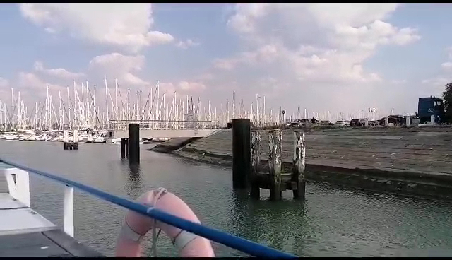 Hafenbecken mit unzähligen Segelmasten, Böschung, Holzpfähle im Wasser; Vordergrund Rettungsring am Boot