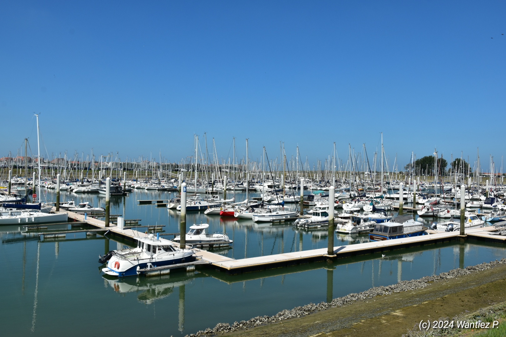 Dicht belegter Yachthafen unter wolkenlosem Himmel; zahlreiche Segelboote spiegeln sich im ruhigen Wasser.