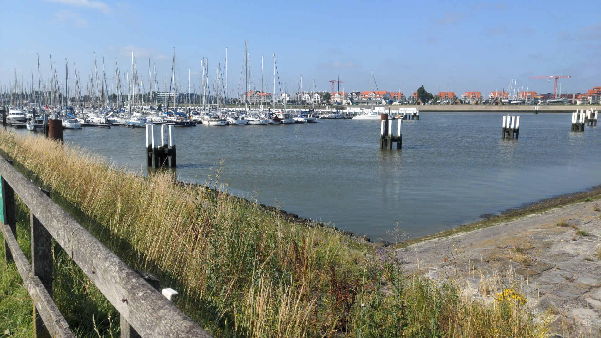 Yachthafen mit vielen Segelbooten; ruhiges Wasser, Grasböschung und hölzerner Zaun im Vordergrund