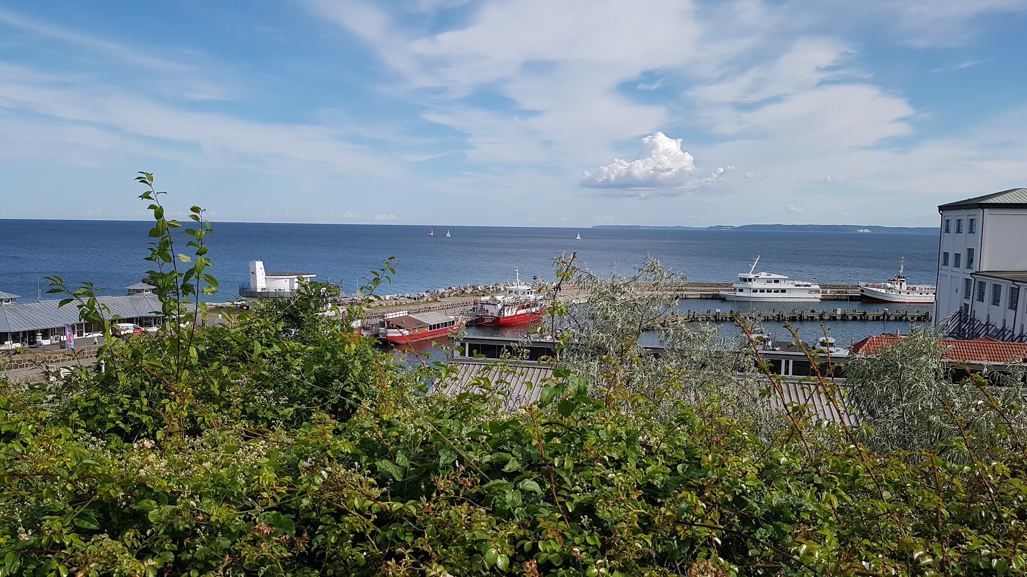 Blick über grüne Büsche auf kleinen Hafen mit roten und weißen Ausflugsbooten; dahinter weites Meer und Segelboote.