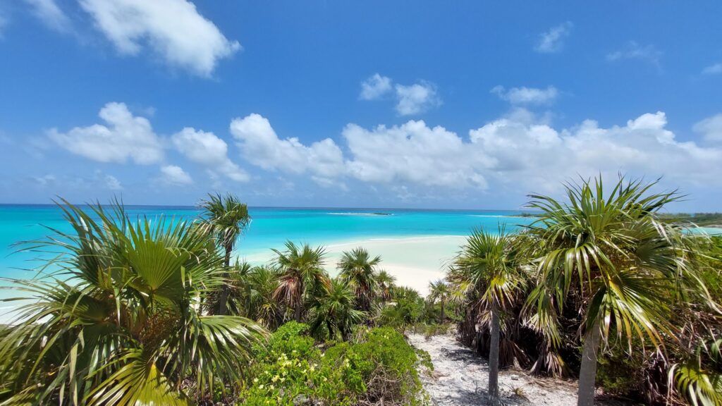 Türkisblaues Meer, weißer Sandstrand und üppige Palmen unter strahlend blauem Himmel mit vereinzelten Wolken