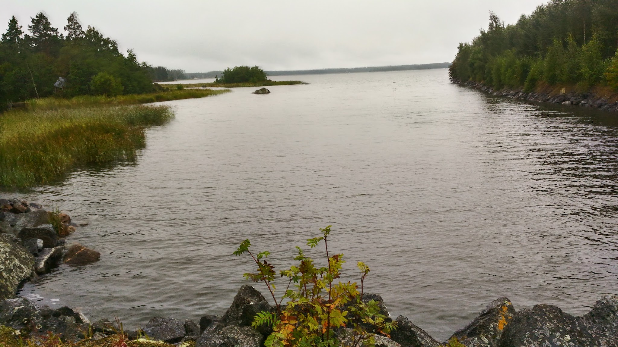 Grauer Wasserarm, vorn Felsen und Herbstbüsche, links Schilf, rechts Wald, hinten Insel unter tiefem Wolkenhimmel.