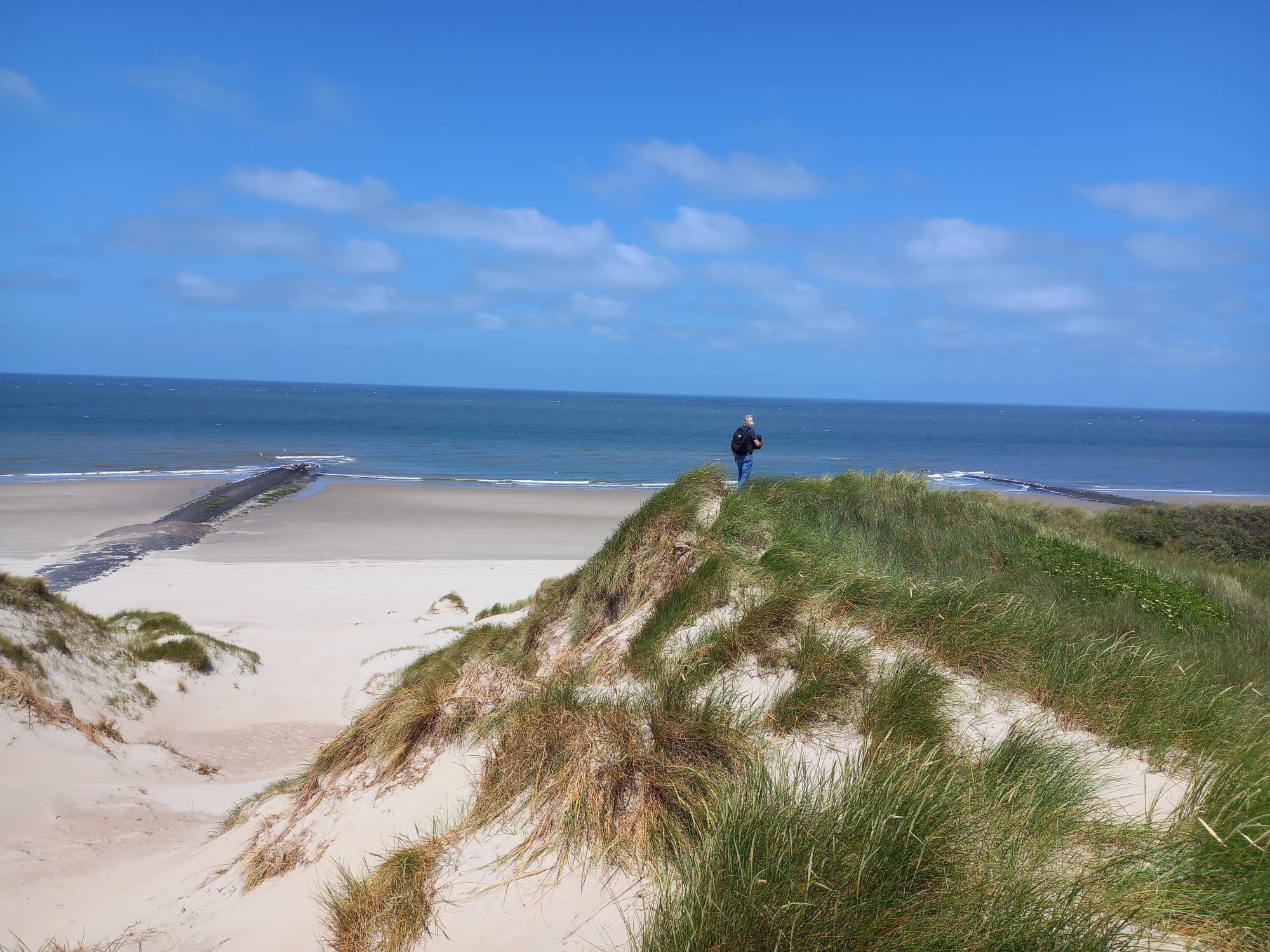 Person auf grasbewachsener Düne blickt auf weiten Nordseestrand mit Buhne, blauem Meer und wolkenlosem Himmel