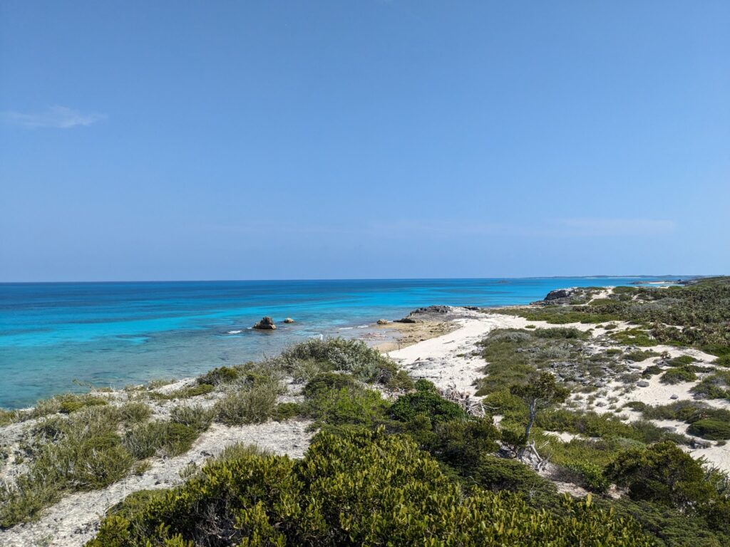 Türkisblaue See, schmaler weißer Sandstrand mit niedrigen Sträuchern, wolkenloser Himmel bis zum Horizont