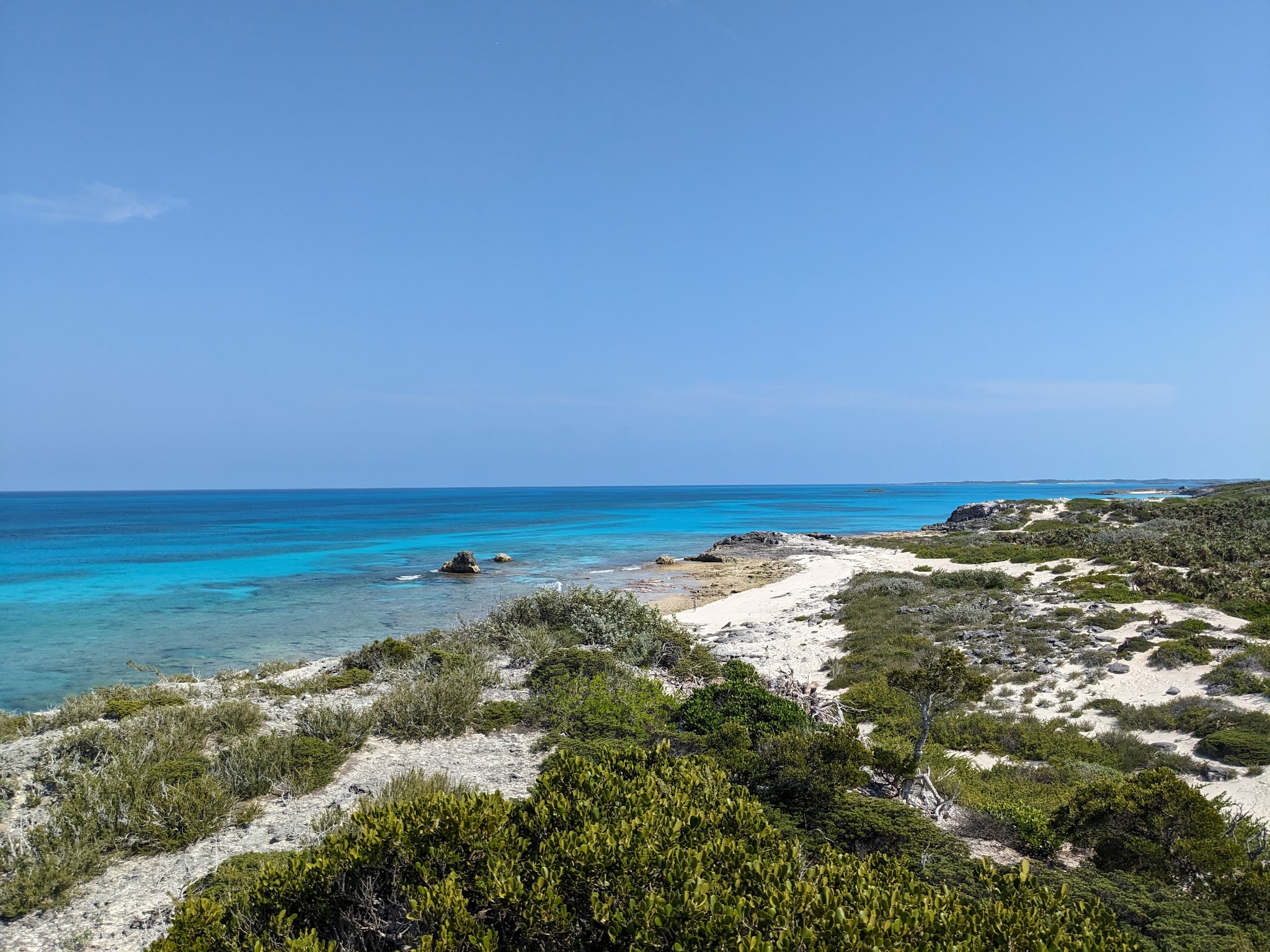 Türkisblaue See, schmaler weißer Sandstrand mit niedrigen Sträuchern, wolkenloser Himmel bis zum Horizont