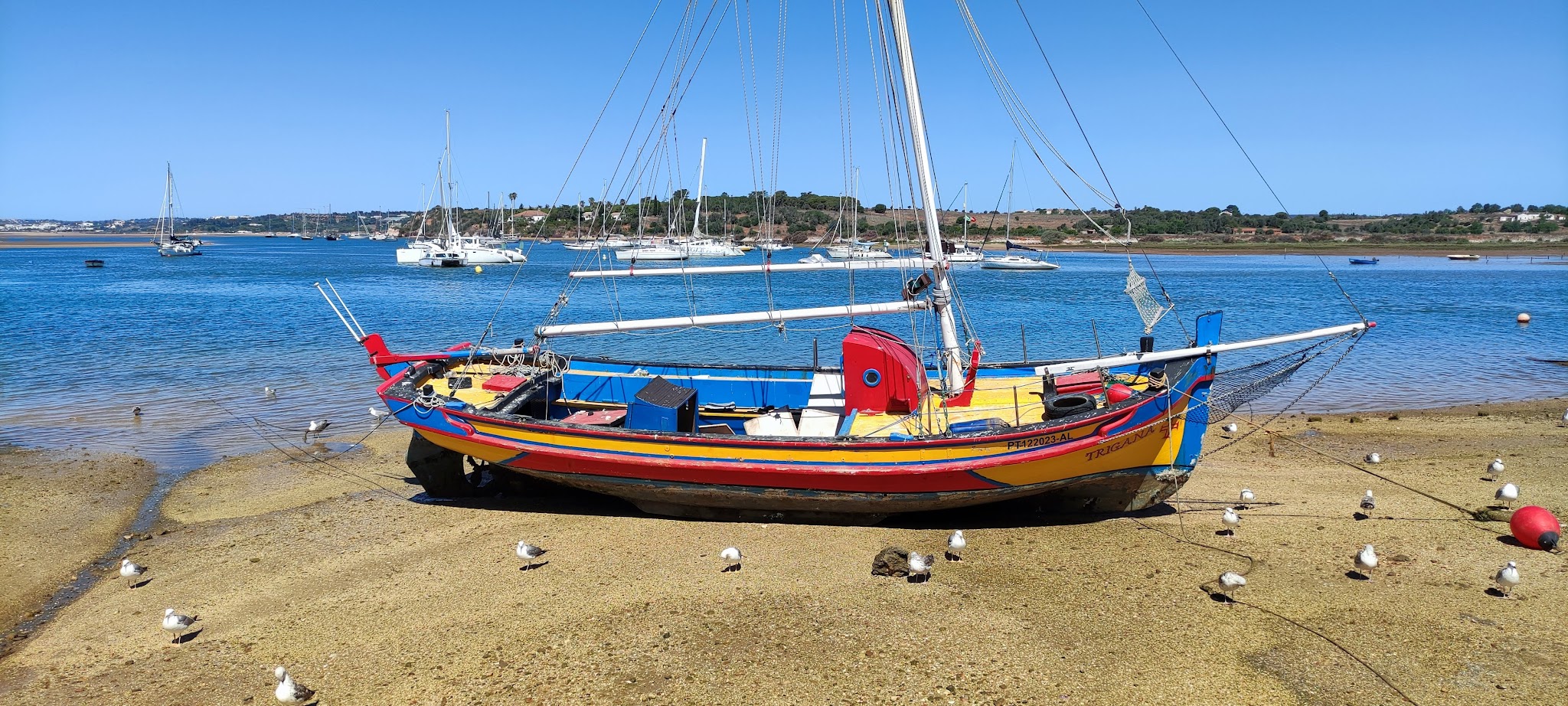 Farbenfrohes Fischerboot liegt bei Ebbe im Sand, umgeben von Möwen; im blauen Wasser dahinter ankern Segelboote.