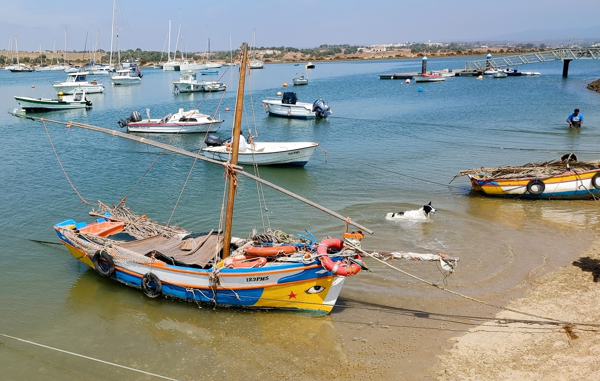 Buntes Fischerboot am flachen Ufer; Hund schwimmt daneben, mehrere Boote ankern im ruhigen Hafen.