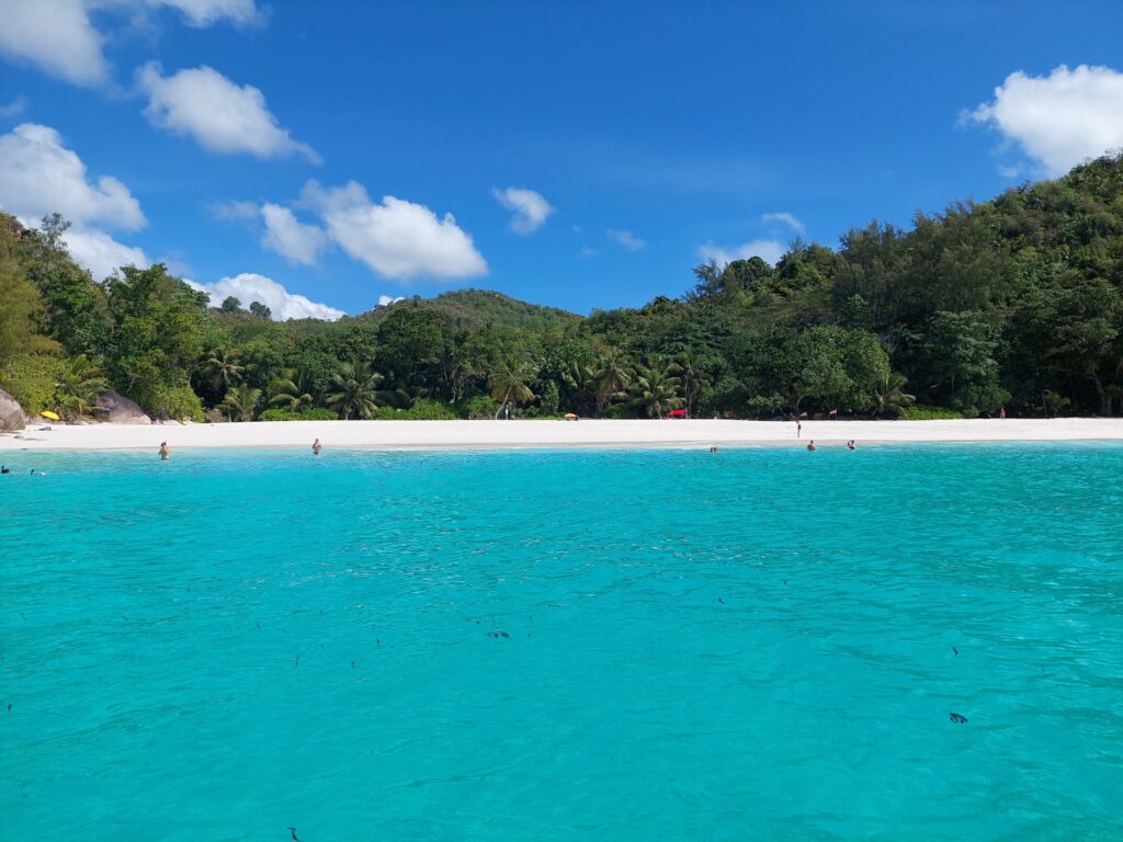 Türkisblaues Meer vor weißem Sandstrand, umgeben von dichtem, grünen Tropenwald, wenige Badende unter klarem Himmel.