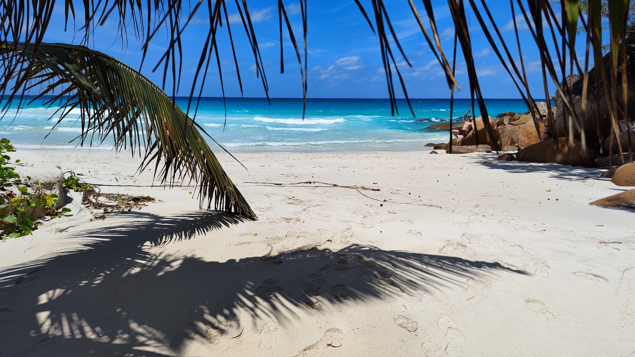 Schattiger Palmenstrand mit weißem Sand, türkisblauem Meer und Felsen, Person entspannt auf Steinen am Wasser