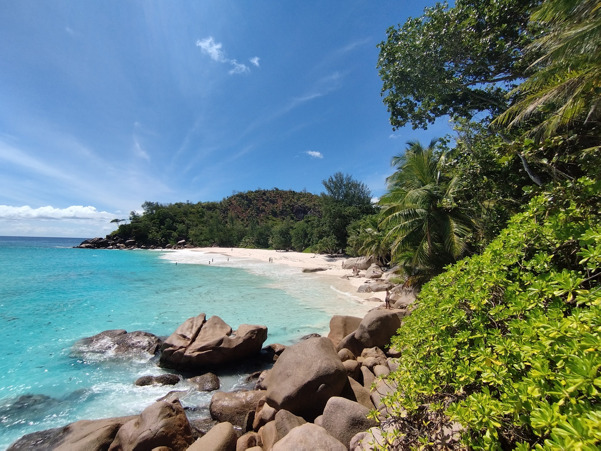 Türkisfarbenes Meer, weißer Sandstrand mit Palmen und Felsen unter klarem blauen Himmel.
