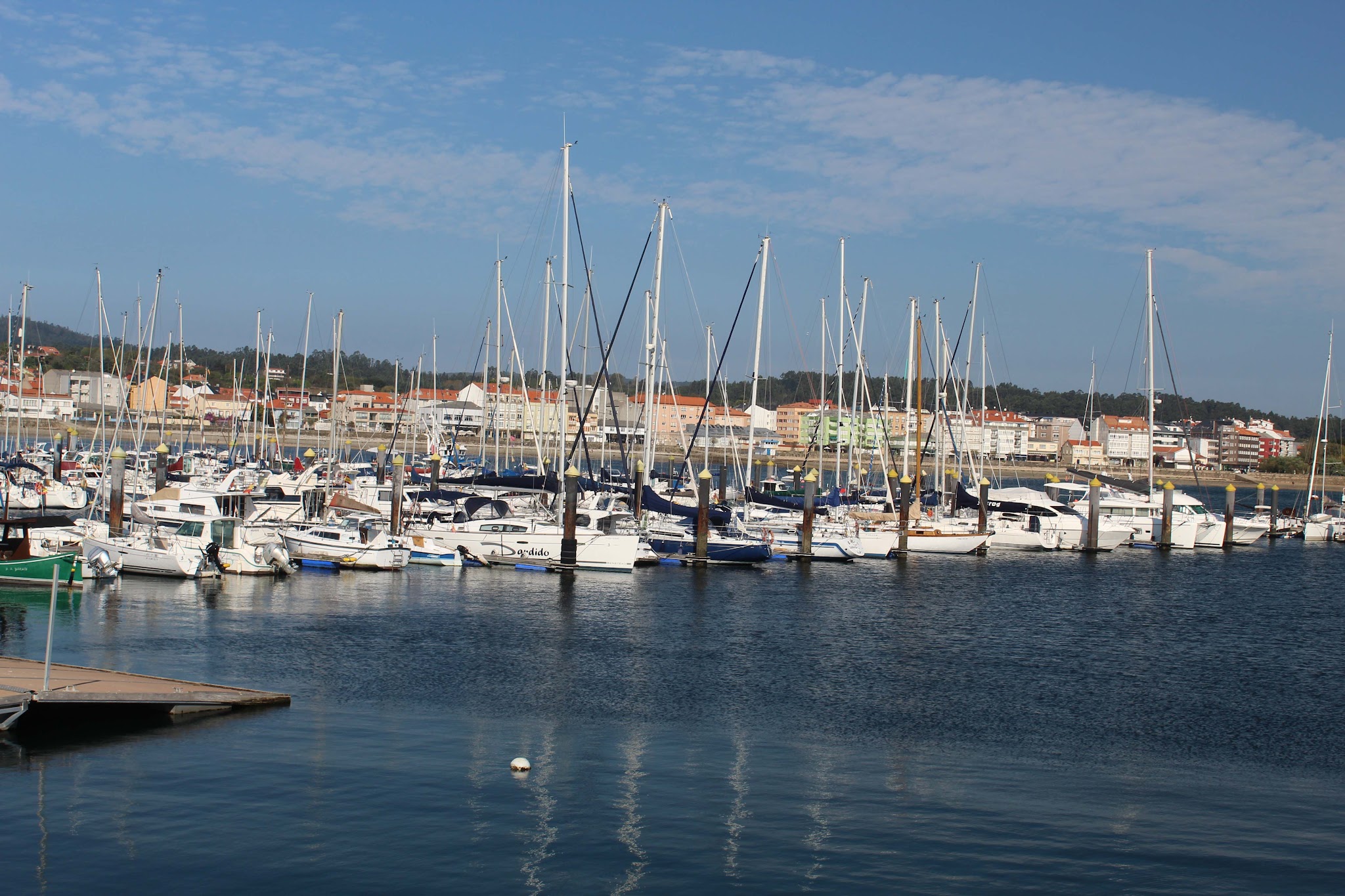 Marina mit zahlreichen festgemachten Segelbooten; ruhiges Wasser, im Hintergrund Küstenstadt unter blauem Himmel.