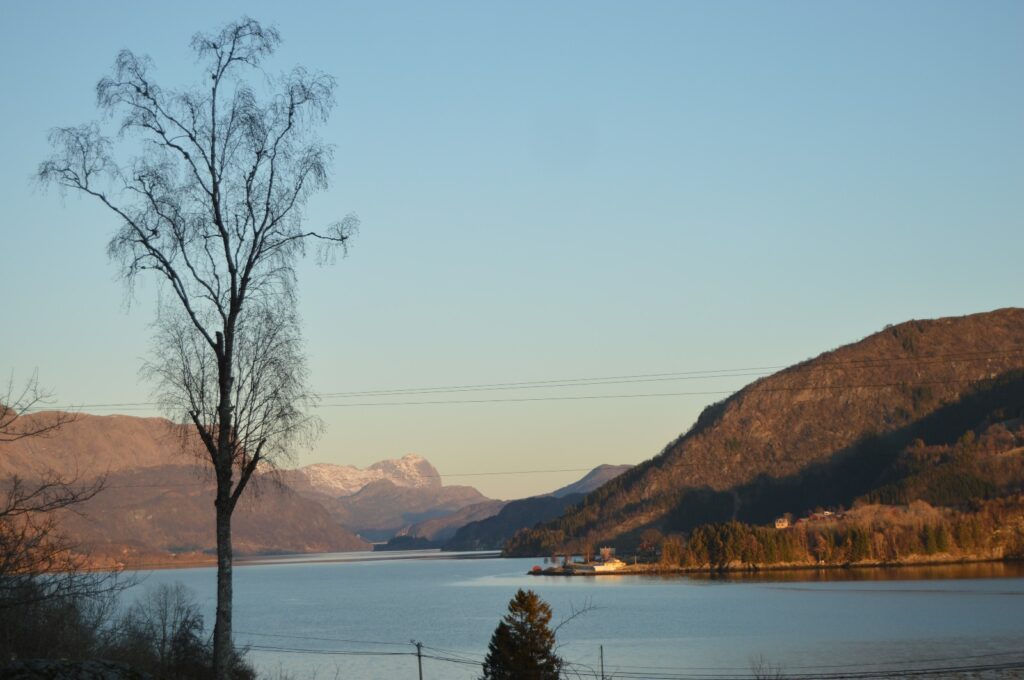 Ruhiger Fjord im Abendlicht, von kahlem Birkenbaum im Vordergrund und schattenreichen Bergen eingerahmt.