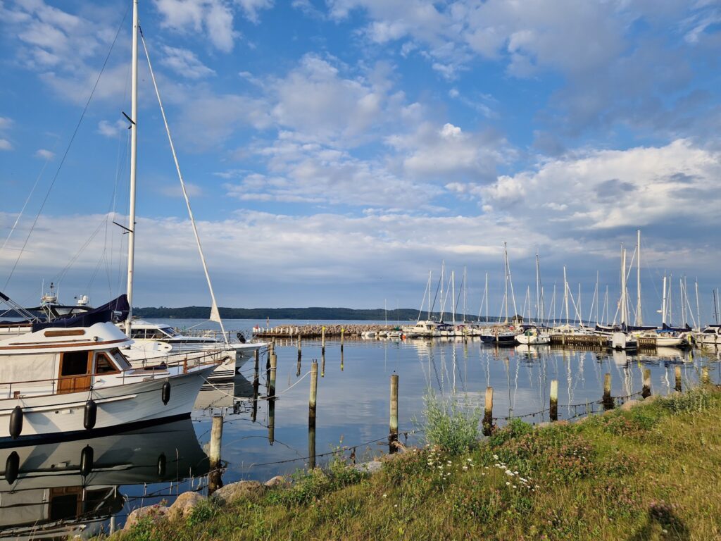 Hafen mit vielen Segelbooten im ruhigen Wasser, blauer Himmel mit Wolken, grünes Ufer im Vordergrund.