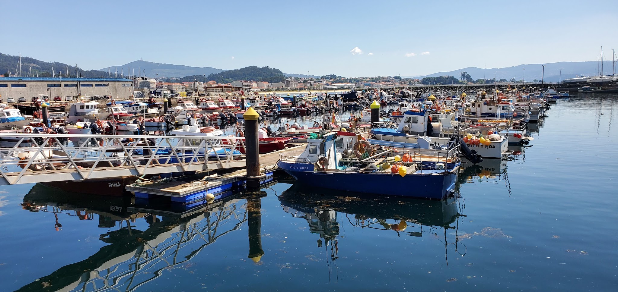 Voller Fischerhafen; bunte Boote spiegeln sich im ruhigen Wasser, dahinter Küstenstadt und bergige Silhouette.