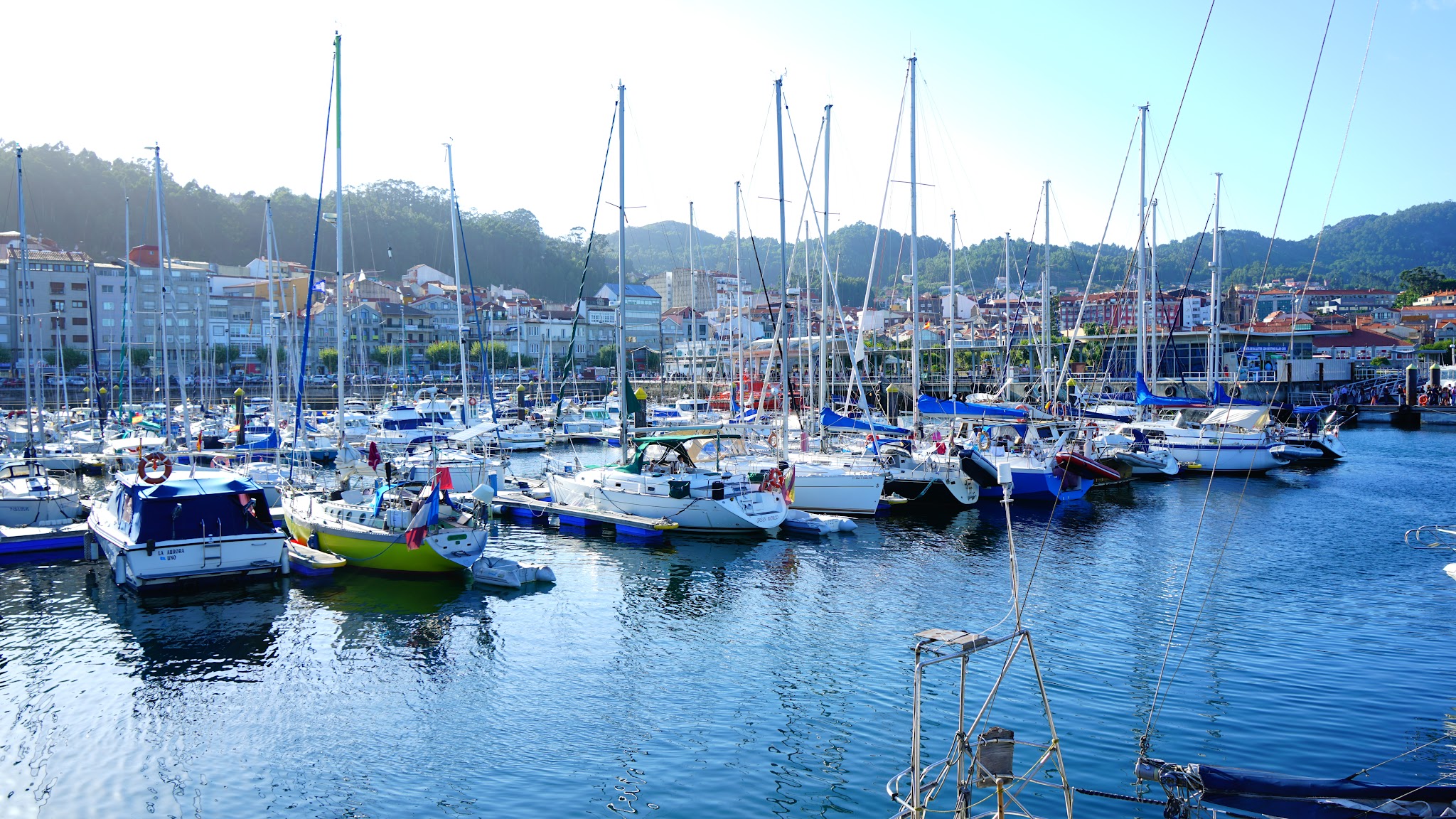 Yachthafen voller Segelboote vor einer Küstenstadt, ruhig blaues Wasser, grüne Hügel im Hintergrund