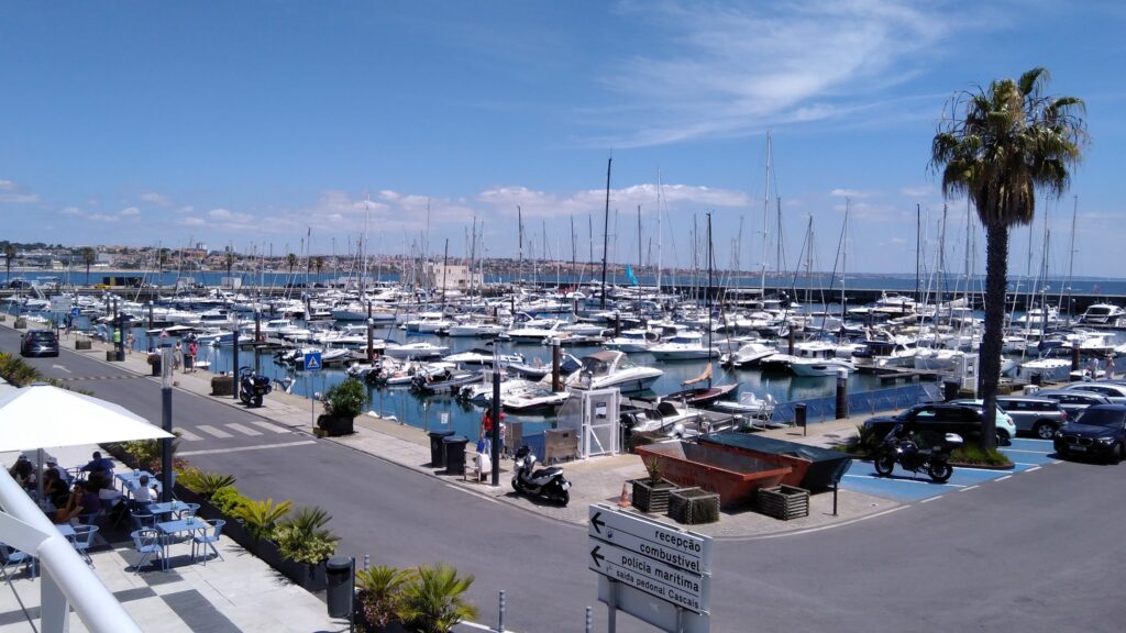 Sonniger Jachthafen mit dicht aneinandergereihten Segelbooten, Palme und Straßencafé am Kai.