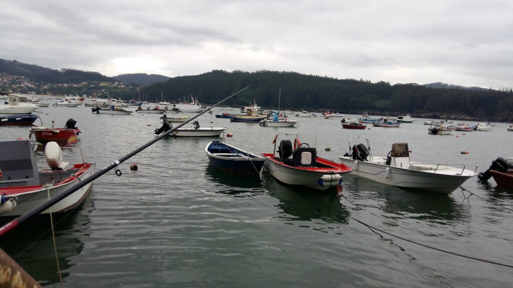 Mehrere kleine Motorboote liegen im ruhigen Hafen; Angelrute im Vordergrund, bewaldete Hügel unter grauem Himmel.