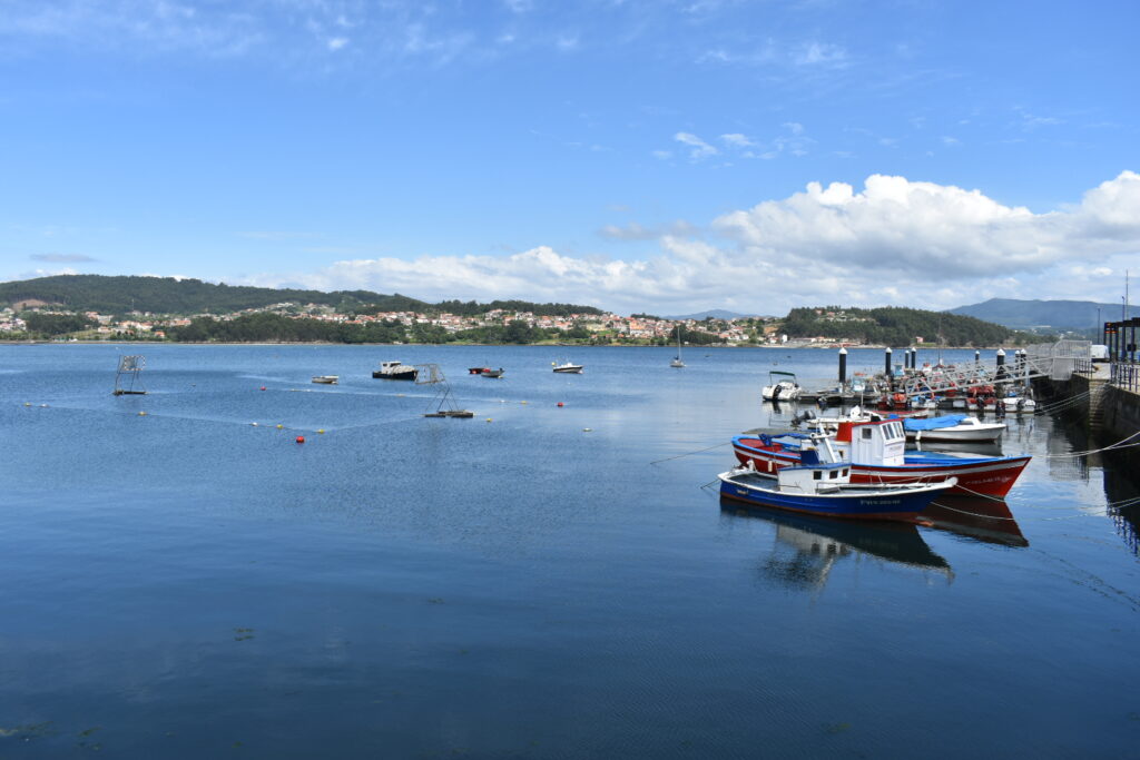 Kleine bunte Fischerboote am Pier eines ruhigen Meeresarms; gegenüber Hügel mit Ortschaft unter blauem Himmel.