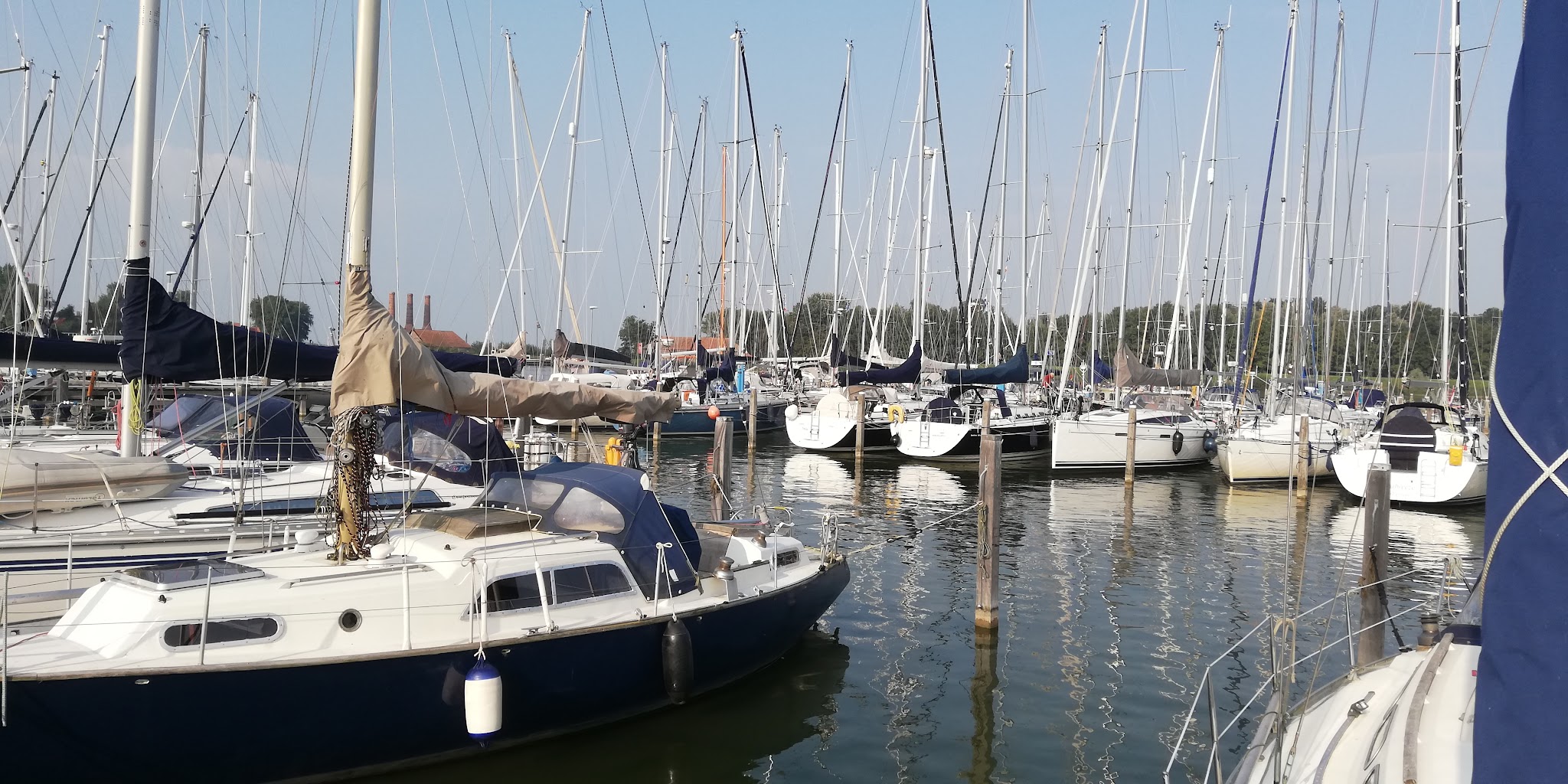 Zahlreiche Segelboote liegen dicht an dicht im sonnigen Yachthafen; hohe Masten spiegeln sich im ruhigen Wasser.