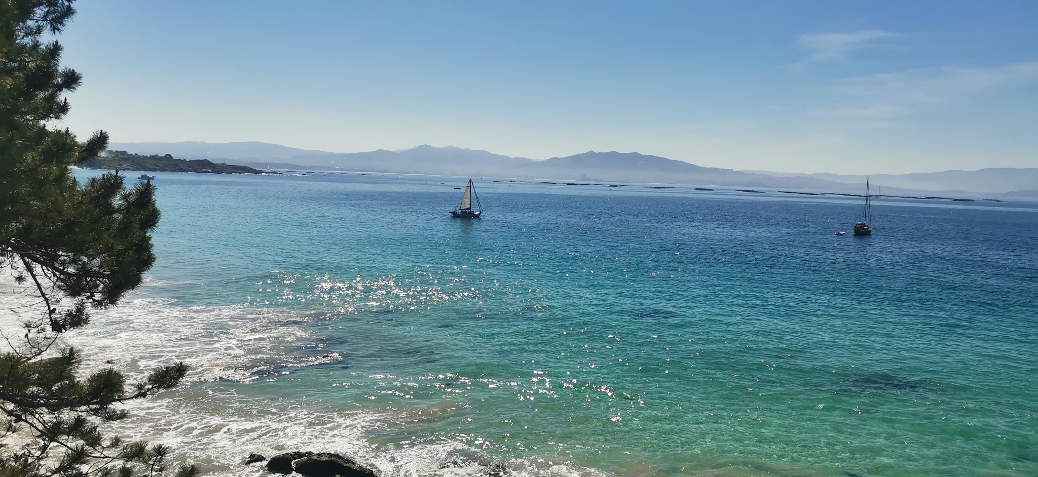 Türkisblaue Bucht mit glitzernden Wellen; Segelboot fährt vor Fernebergen, Pinienzweige rahmen den Vordergrund.