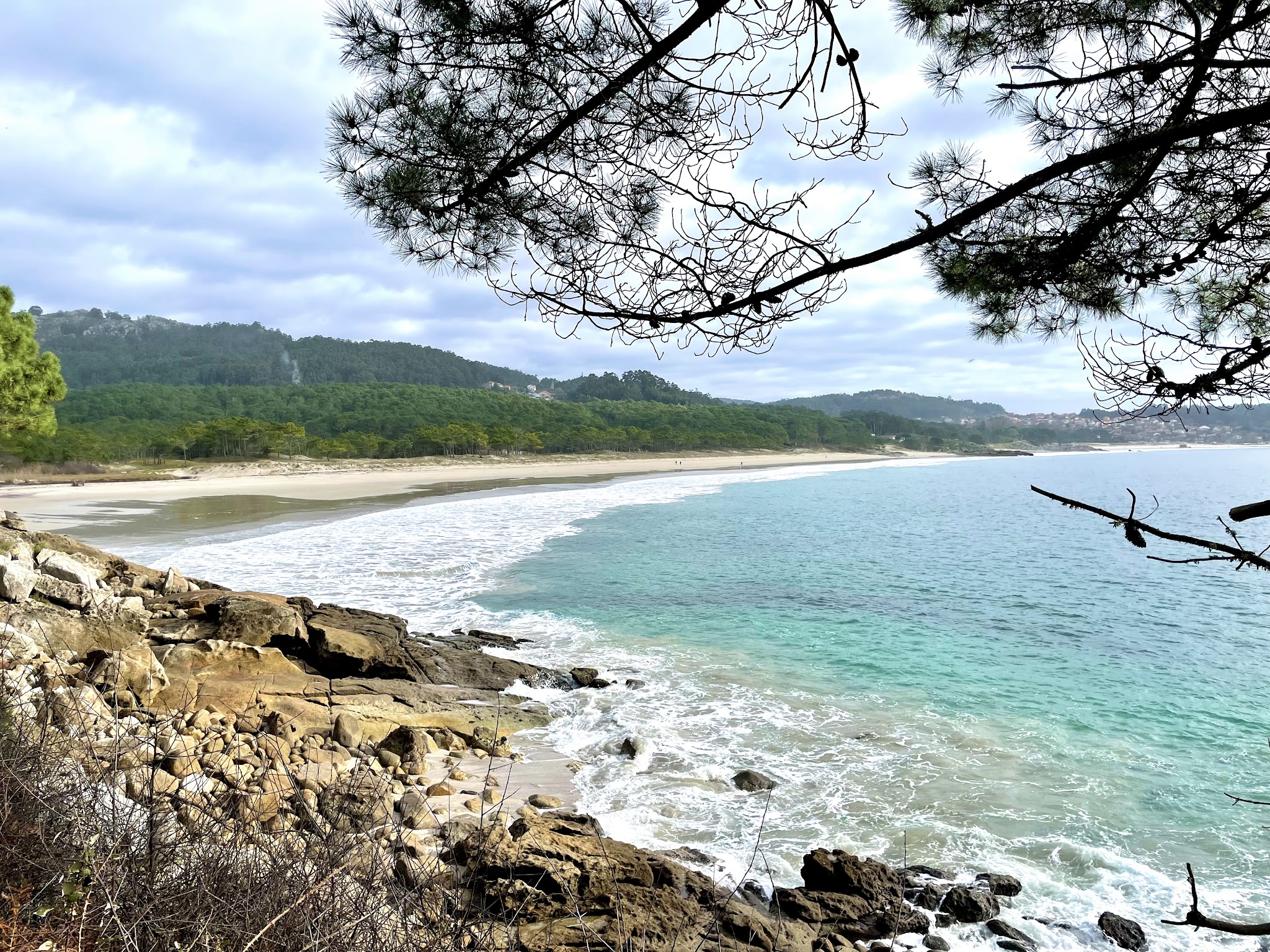 Türkisfarbenes Meer trifft auf langen Sandstrand; Felsküste vorn und Kiefernzweige rahmen die Szene
