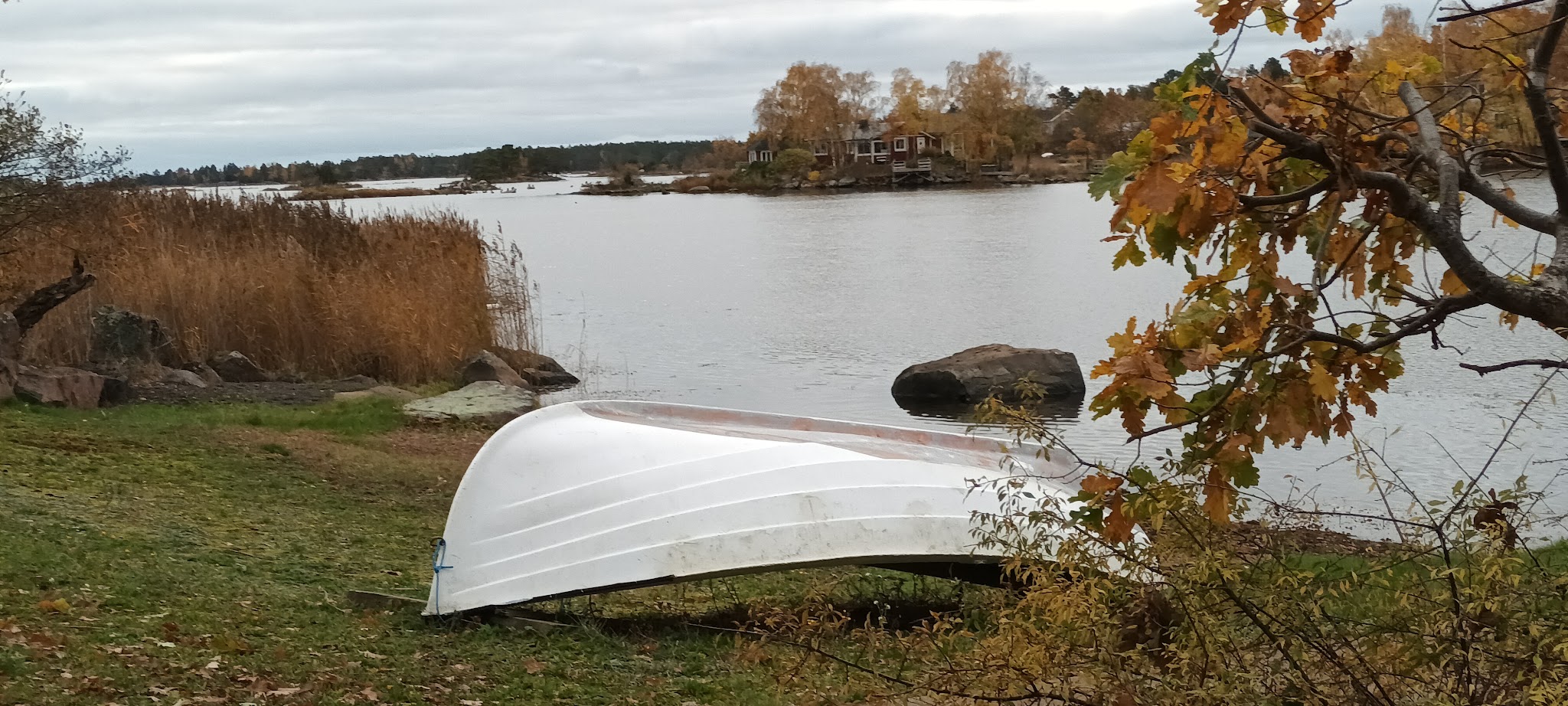 Umgedrehtes weißes Ruderboot am herbstlichen Seeufer, Schilf und ferne Hütte auf kleiner Insel