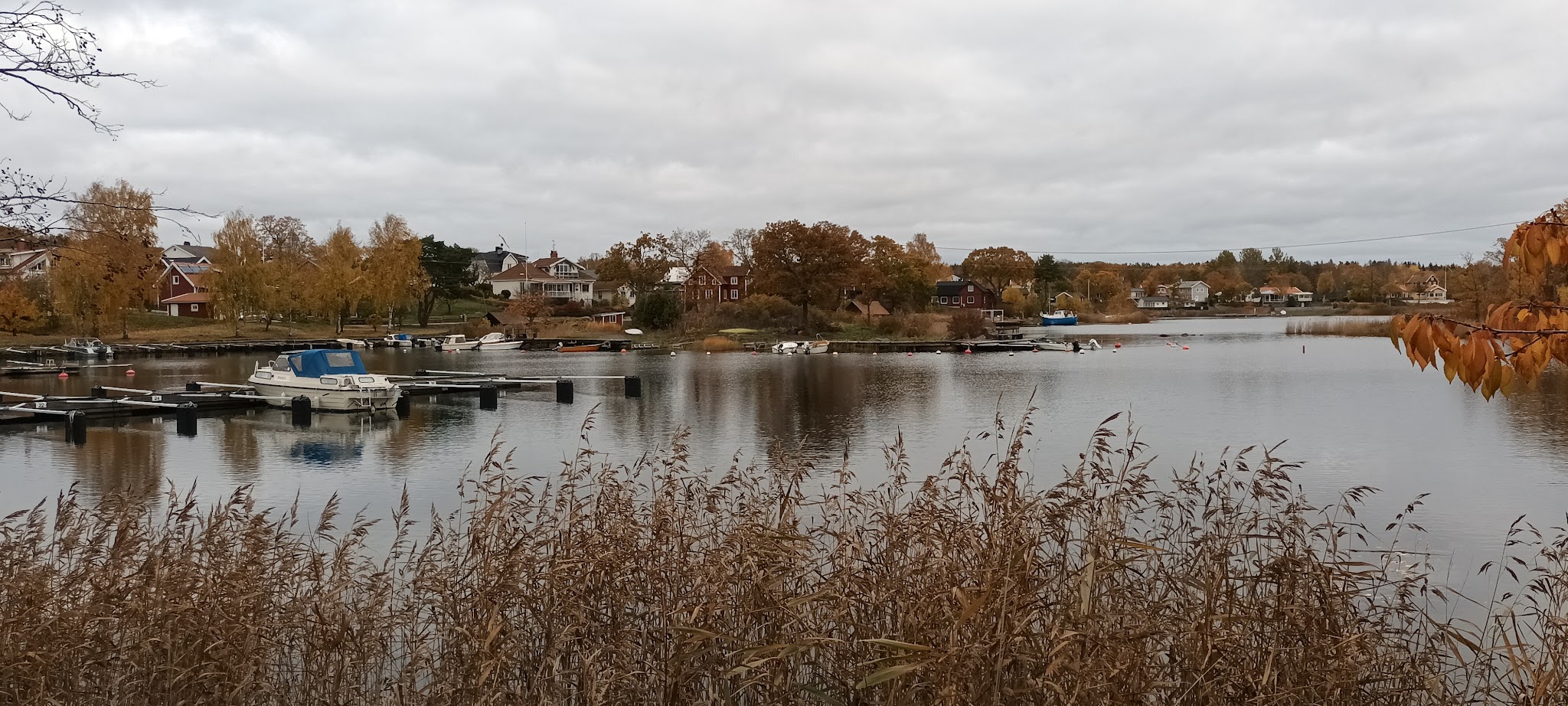 Herbstliche Uferlandschaft mit kleinen Booten am Steg, Schilf im Vordergrund, bunte Häuser und Bäume im Hintergrund