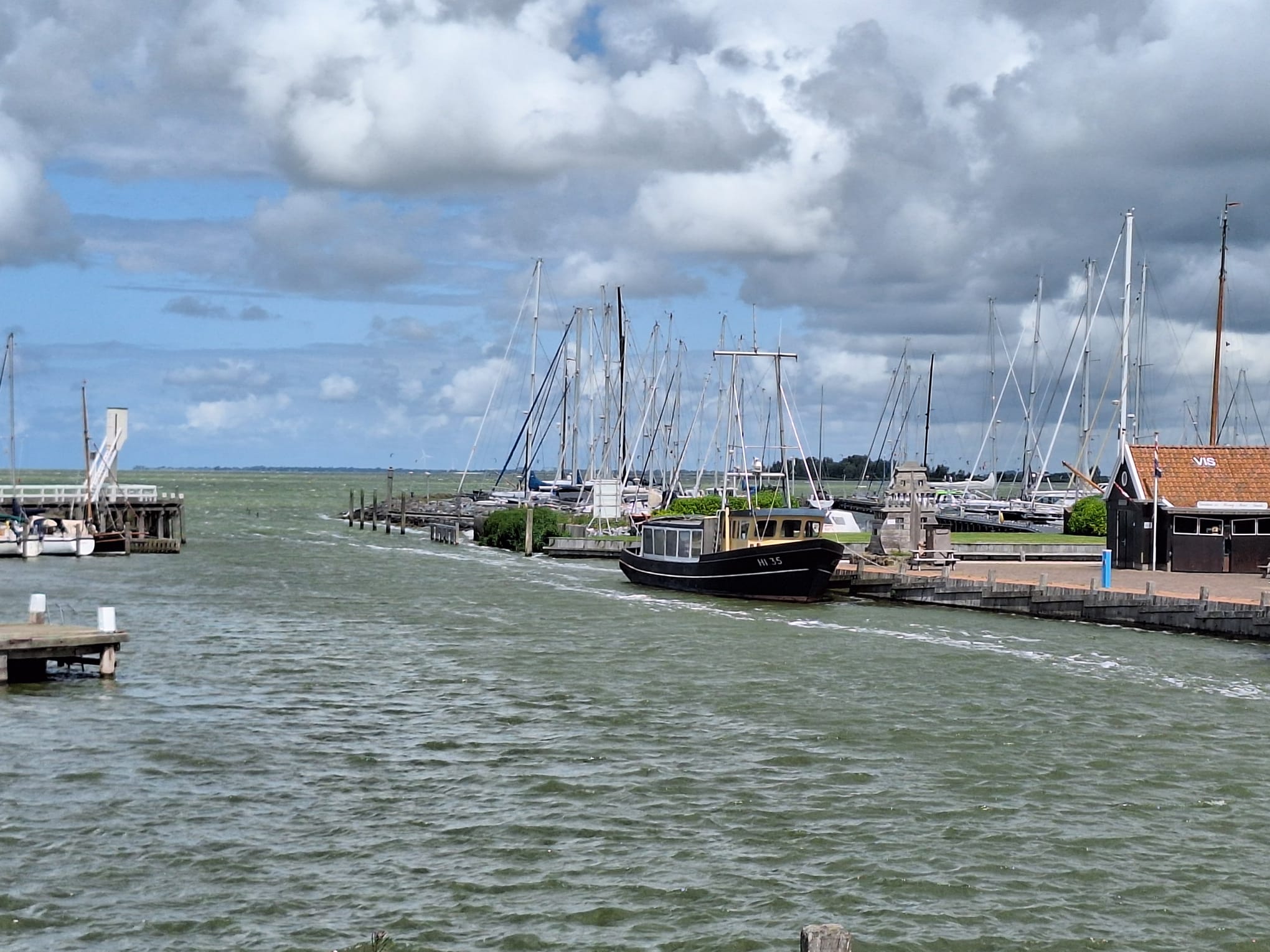 Kleines Motorboot verlässt einen Yachthafen mit zahlreichen Segelmasten unter wolkigem Himmel.