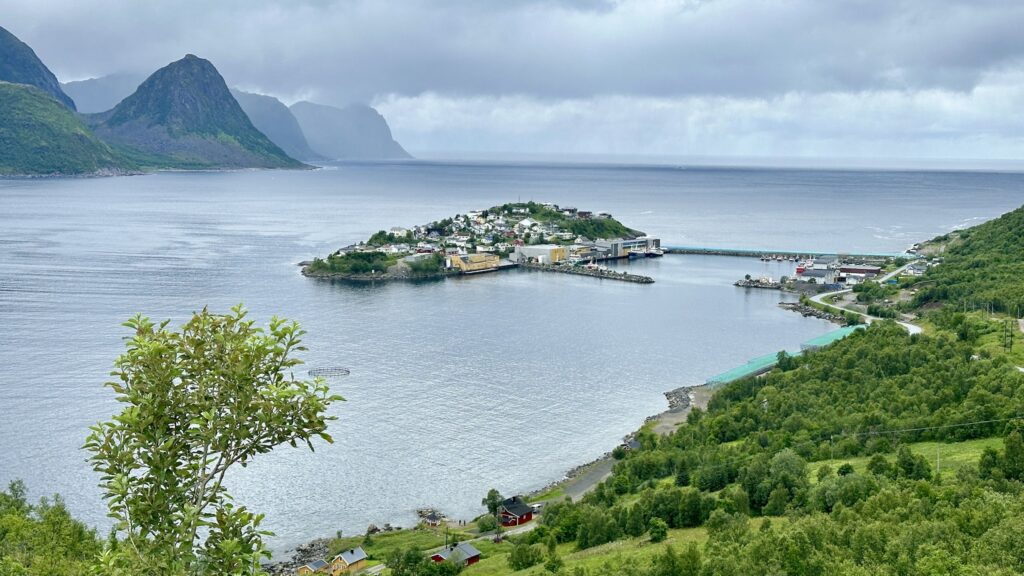 Grüne Insel mit dichtem Dorf in einem weiten Fjord, umgeben von bewaldeten Hängen und nebelverhangenen Bergen.