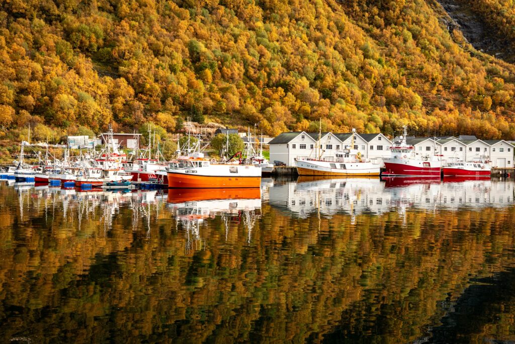 Bunte Fischerboote vor weißen Bootshäusern spiegeln sich in ruhigem Wasser; dahinter herbstlich goldgrüner Hang.
