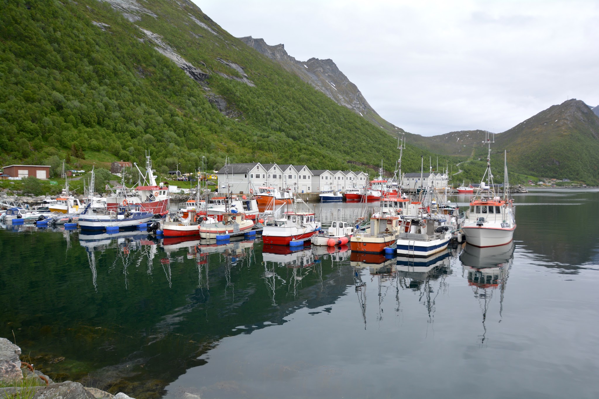 Mehrere bunt gestrichene Fischerboote im ruhigen Fjord, spiegelndes Wasser, grüne Berge und weiße Holzhäuser dahinter