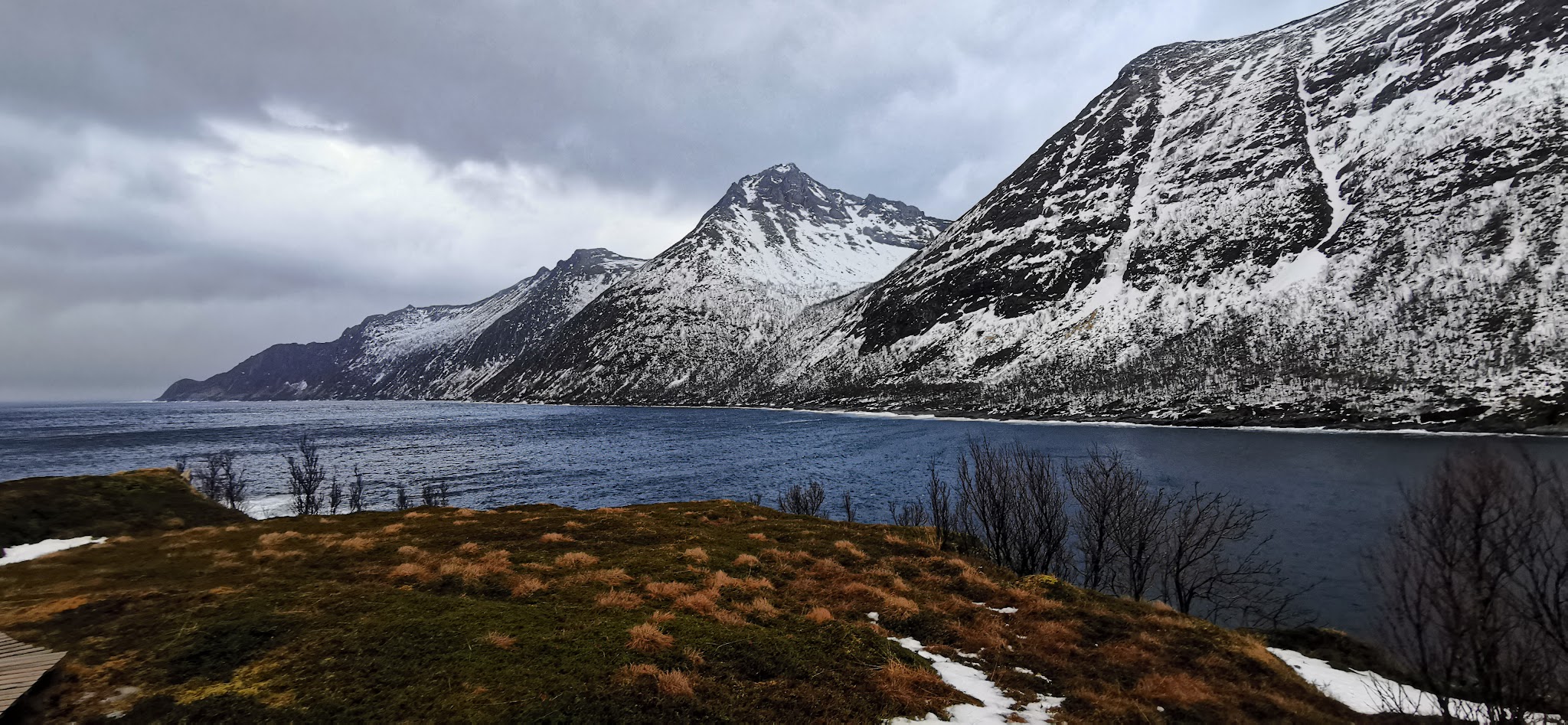 Schneebedeckte Fjordberge steigen steil aus dunklem Wasser; im Vordergrund moosige Tundra mit braunen Flecken.